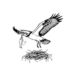 A osprey carrying a fish back to its nest