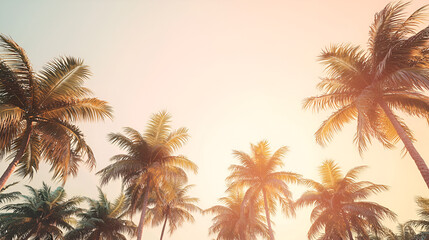 Palm trees reach for the sky against a soft, hazy sunset. Tropical vibes and warm tones evoke serenity.