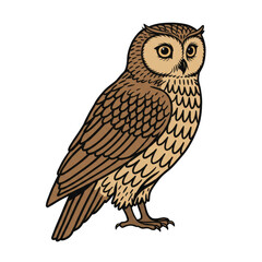 Naklejka premium Isolated Illustration of a Brown Owl Clip Art Design with Transparent Background
