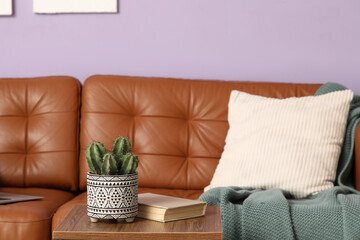 Houseplant and book on table near brown sofa in interior of living room, closeup
