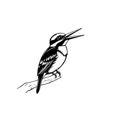 Obraz premium A kingfisher rattling its call from a riverside pe...