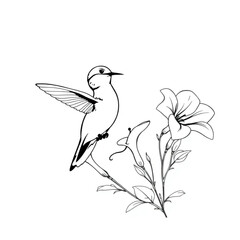 A hummingbird sipping nectar from trumpet flowers