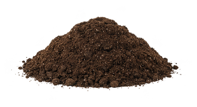 Pile of Roasted Brown Coffee Beans Aroma Transparent Background