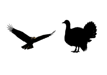 Fototapeta premium Isolated Silhouette Eagle Flight Illustration In Dark Night Transparent