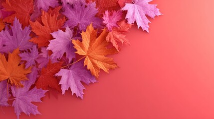 Maple red pink orange color empty symbol decoration canada flag country international labor day freedom happy cannadian leaf plant natural event industry business employment independence.3d render 