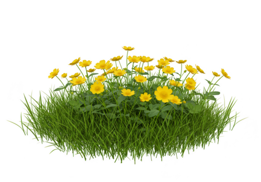 Isolated Transparent Background of Yellow Flowers and Green Grass Field - Powered by Adobe