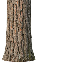 Obraz premium Isolated Tree Trunk with Bark Texture on Transparent Background