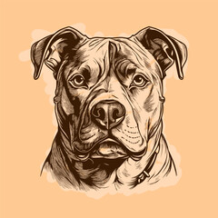 Detailed Pitbull Head Drawing with Strong Jaw and Confident Expression in Vintage Style on Orange Background