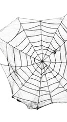 Obraz premium Isolated White Spiderweb Web Spider Halloween Scary PNG Background