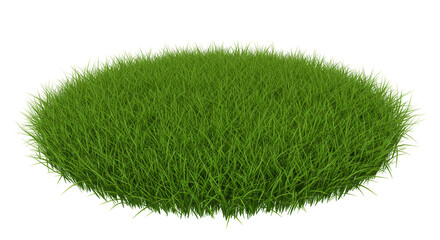 Lush Green Grass Turf Lawn Detail Natural Background Isolated 3D