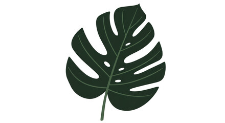 Monstera Green Leaf Illustration Tropical Foliage Botanical PNG Background