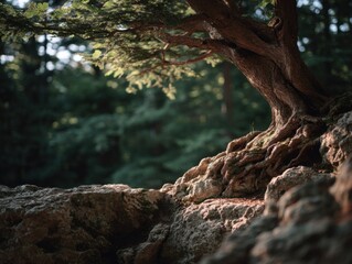 An Ancient Tree On A Rock Is Resilient And Inspiring