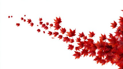 Abstract Canadian red maple leaves flowing diagonally isolated on a transparent background. Place for text. Perfect for Canada Day, national celebrations, patriotic events and festive designs.