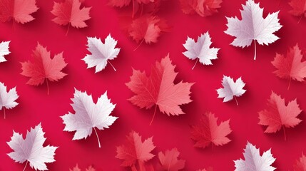 canada leaves background vector 