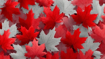 canada leaves background vector 