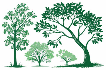 Green Foliage and Ornamental Tree Vector Pack