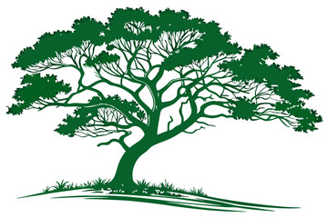 Vector green tree isolated on white, green tree clipart