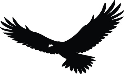 Bald eagle soaring in black and white sketch, symbol of freedom, Flying Bald Eagle black and white Silhouette vector