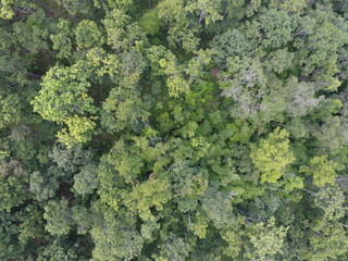 Naklejka premium Top View Aerial Photograph