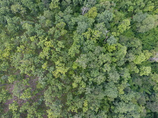 Top View Aerial Photograph