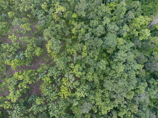 Top View Aerial Photograph