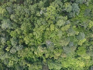 Naklejka premium Top View Aerial Photograph