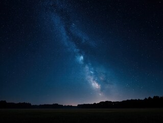 The Delicate Artistry Of A Meadow A Wildflower Petal