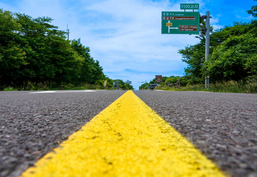 제주도 한라산 1100고지 