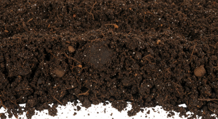 Abstract Isolated Black Dirt Soil Ground Surface Background Texture