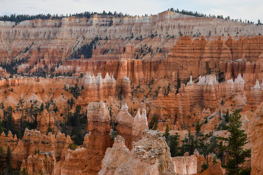 Colorful hoodoos and striped rock formations in Bryce Canyon National Park, Utah, with scattered pine trees and dramatic desert cliffs.