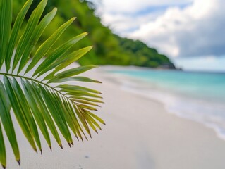 Tropical beach scene with palm leaf