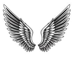 Fototapeta premium Detailed Illustration of Spreading White Wings Against Transparent Background