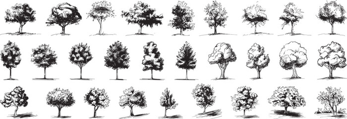 Tree Sketch Collection, Vector Illustration.