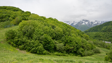 Obraz premium 夏のスキー場 ゲレンデ風景 鹿島槍スキー場 長野県