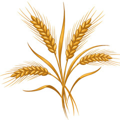 Illustration of Golden Wheat Grain Cereal Plant for Harvest Agriculture