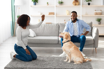 Dog Training Commands. Happy black woman teaching pet at home in living room, playing with golden retriever and rewarding him with treats, giving animal food, husband sitting on sofa looking at wife