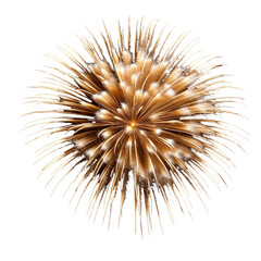 Naklejka premium Sparkling Golden Firework Explosion with Radiant Starburst Effect