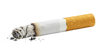 Isolated Cigarette on Transparent Burning Tobacco Smoked Addiction Danger