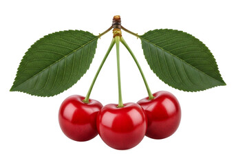 Fresh Red Cherries With Green Leaves Isolated