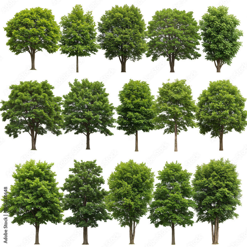 Aufkleber isolated background of multiple trees with green foliage and transparent