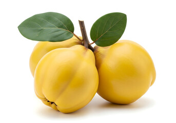 Fresh Ripe Quinces With Leaves Isolated On White Background