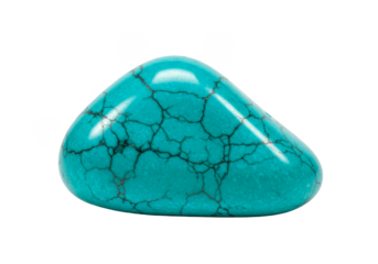 Isolated Close Up Turquoise Gemstone Mineral Polished on Transparent Background