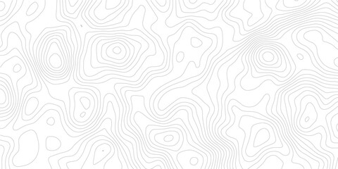 Fototapeta premium Topography background. Vector banner. Topography map background. Vector geographic contour map. Background of the topographic map. Topographic map lines, contour background. 
