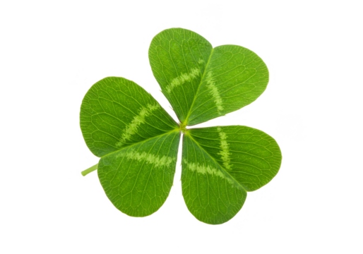 Isolated PNG of Green Clover Leaf Shamrock Symbol of Luck Irish