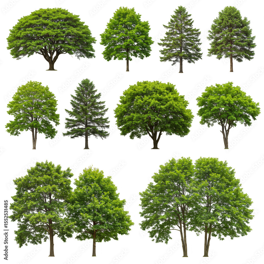 Aufkleber isolated trees background multiple green trees grouped on transparent png