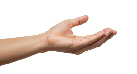 Offering Hand Gesture Open Palm Empty Isolated Transparent Background
