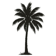 Silhouette Illustration of Tropical Palm Tree with Isolated Background