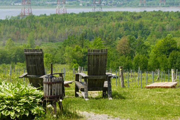 Adirondack-style wooden chairs face panoramic vineyard hills and river valley from a rustic grass...
