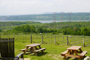 Adirondack-style wooden chairs face panoramic vineyard hills and river valley from a rustic grass...