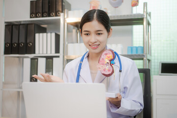 A young Asian female doctor works alone at her desk, reviewing kidney-related medical data. files...